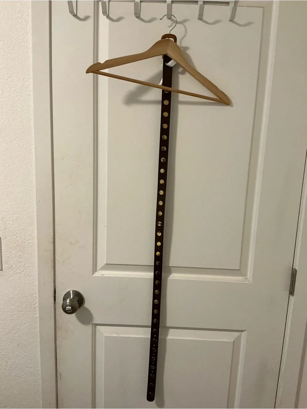 NWT Madewell Soft Mahogany Studded Belt with Gold Hardware - XL